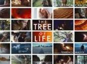 tree life Terrence Malick