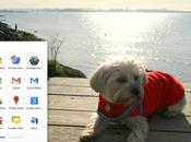 Presto launcher stile Chrome anche