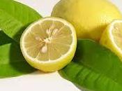 limoni Polenghi