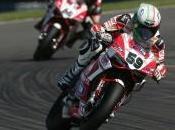 Superbike, Donington: problemi fisici Checa, Gara ottavo posto Canepa