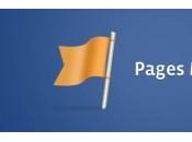 Privacy rischio Facebook Pages Manager