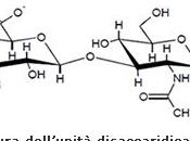 acido ialuronico (Ialuronic acid diy)