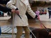 Giochi disabilità Piazza Erbe