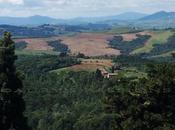 foto della settimana: cartolina dalla Toscana