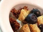 Granola Yogurt biscotti mirtillo dell’Appennino