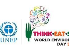 Giugno, giornata mondiale dell'ambiente. iniziative Sicilia