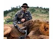 Sudafrica, leoni allevati “caccia scatola” (video)