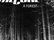 Canzoni Travisate, segnalazione forest", Cure