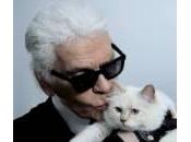 Karl Lagerfeld vuole sposare gatto: “Sono innamorato”