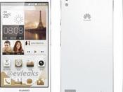 Huawei Ascend mostra prime immagini ufficiose
