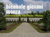 Biennale giovani monza 2013