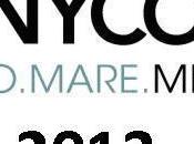 Inycon 2013, progetto stato presentato Gennaio