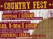 Culpable concerto Country Fest Polo Torrile Parma 7/8/9 giugno 2013.