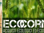 Ecocorner, nostro punto
