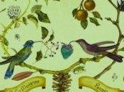 C+c=maxigross Ruvain