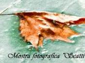 Bastia: mostra fotografica “Scatti d’Autore”