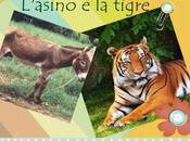 L’asino tigre Favole mondo