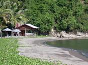 Viaggi Indonesia: Lembean spiaggia verde