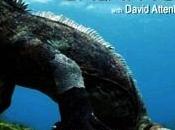Galapagos episodi realizzati David Attenborough andranno onda giugno alle "Sky Wild (canali Sky)