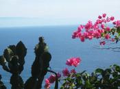 foto della settimana: mare Calabria