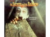 serpente l’arcobaleno Craven, 1988)