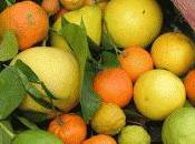 agrumi proteggono cuore