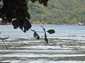 Viaggi Indonesia: scorcio panoramico Bitung