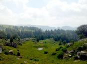 Trekking Lessinia ovvero...16 1000