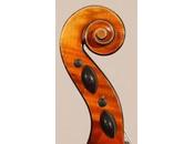 Tema Goran violinista