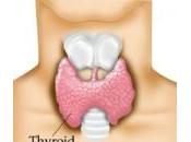 tiroide problemi, sintomi rimedi naturali