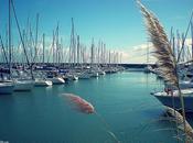 Charme Bretonne.