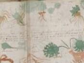 Contrordine: Codice Voynich bufala