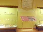 Notti dell'Archeologia 2013