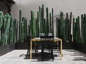 Idea: recinzione cactus