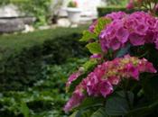 cortili giardini segreti