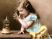 rabbia, stupidaggine pernacchie