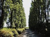 Fuga dalla citta'...