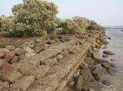 Vecchia Goa, alla scoperta porto romano Gopakapattana
