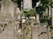 Istanbul, Europa: cimiteri valle degli usignoli