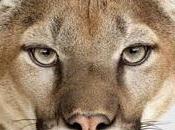 Nuova build beta 10.8.5