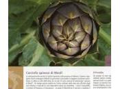 Buon Compleanno “Spinoso Menfi”