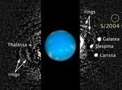 nuova luna Nettuno scoperta Hubble