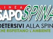 Sapospina