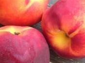 Pesche nettarine segreti frutto