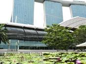 Singapore: città giardino