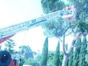 Spello arrivano pompieri e….segano rami!