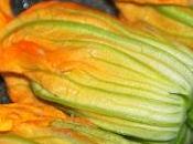 Fiori zucchine ripiene zucchini’s flower stuffed fried