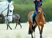 Equitazione: cavalli Avigliana, speciale Endurance Internazionale