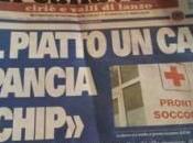 Signori, cane servito; bufala corre sulla rete. [Foto]