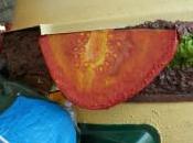 Domenica sub-cultura